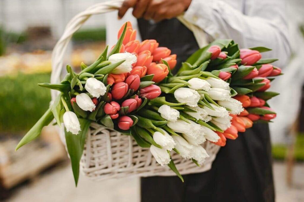 Flower Delivery in Neutral Bay