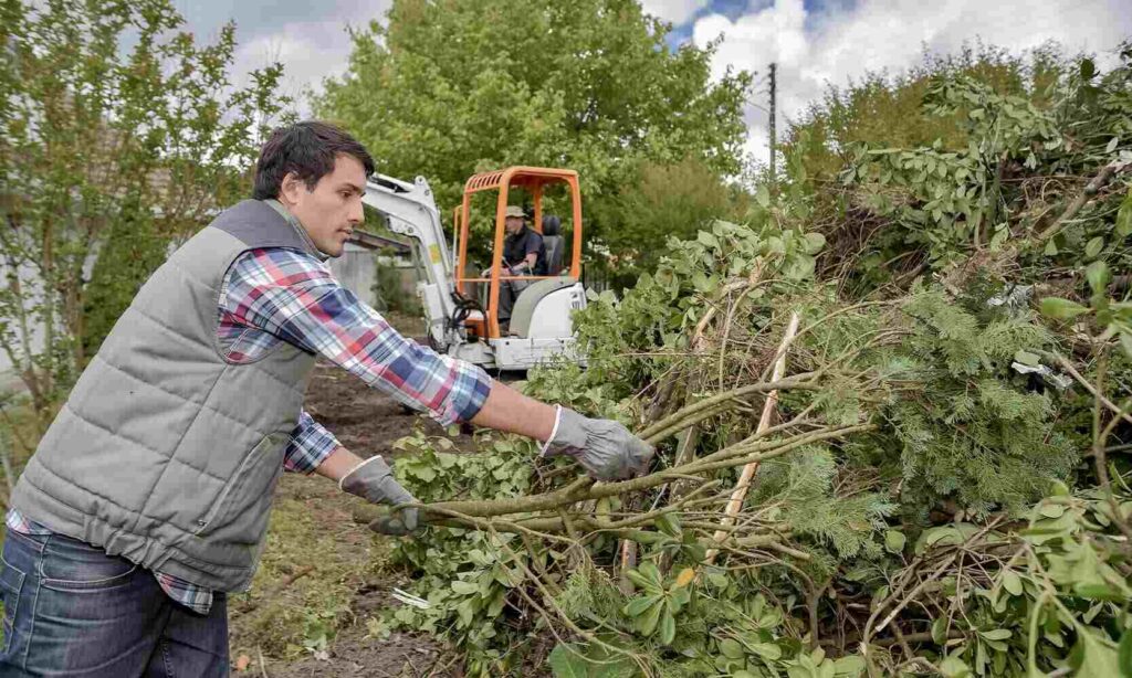 tree removal hero